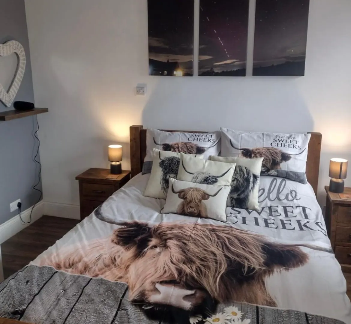 Lingfield Lodge Ewenique Views Pets Welcome Welbury